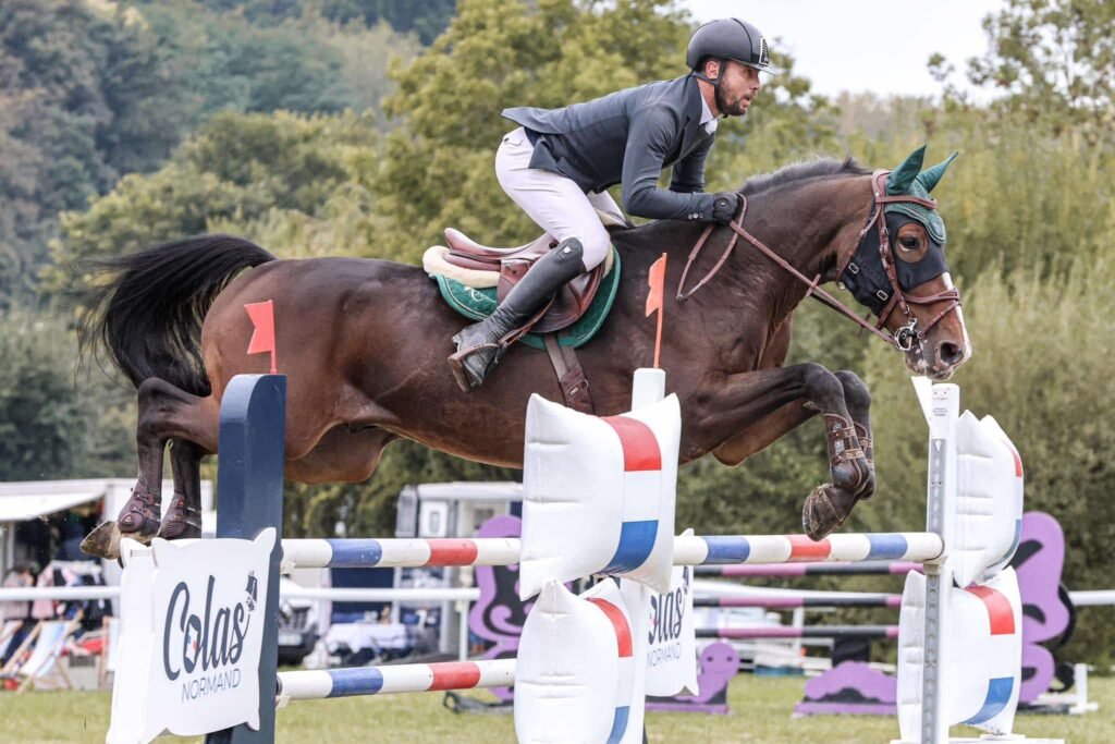 Cheval qui saute